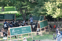 School in the Forest
