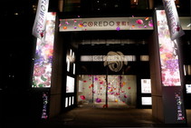 NIHONBASHI ILLUMINATIONS collaborated with FLOWERS